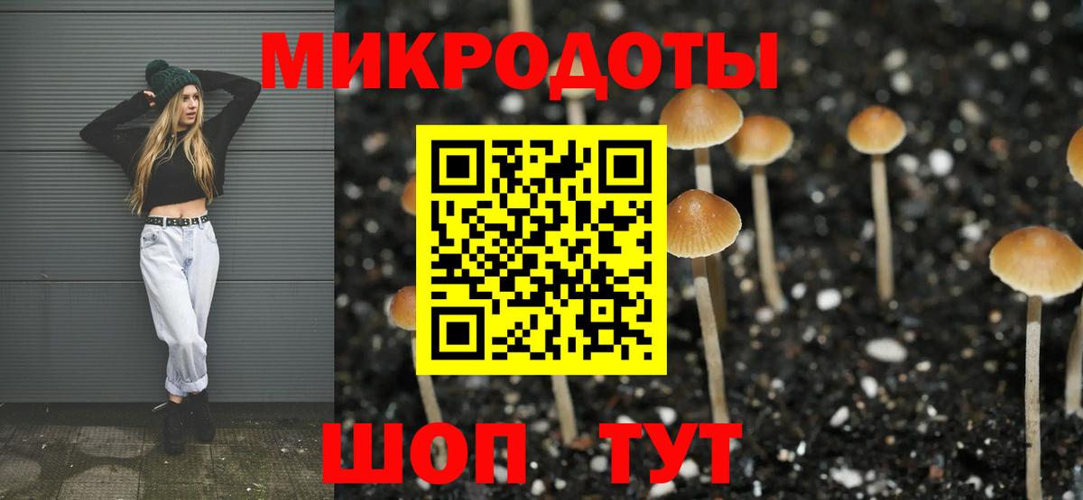 Галлюциногенные грибы Psilocybine cubensis Всеволожск